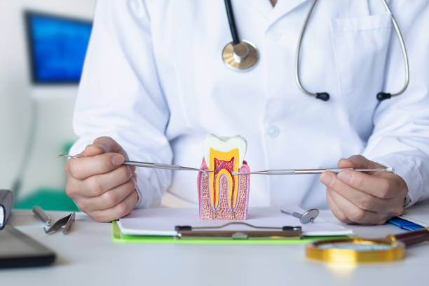 Best Emergency Dental Services for Seniors in Odessa, TX